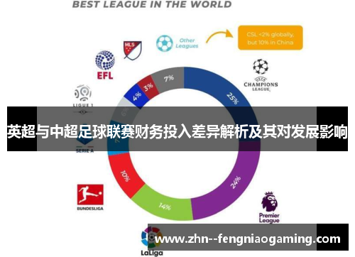 英超与中超足球联赛财务投入差异解析及其对发展影响